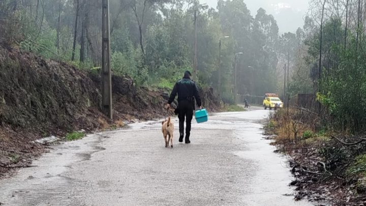 GNR evacua 25 cães em Gondomar devido à subida do caudal do rio Sousa