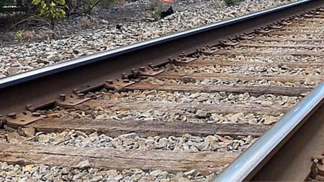 Circulação retomada de forma condicionada na Linha do Douro após atropelamento mortal