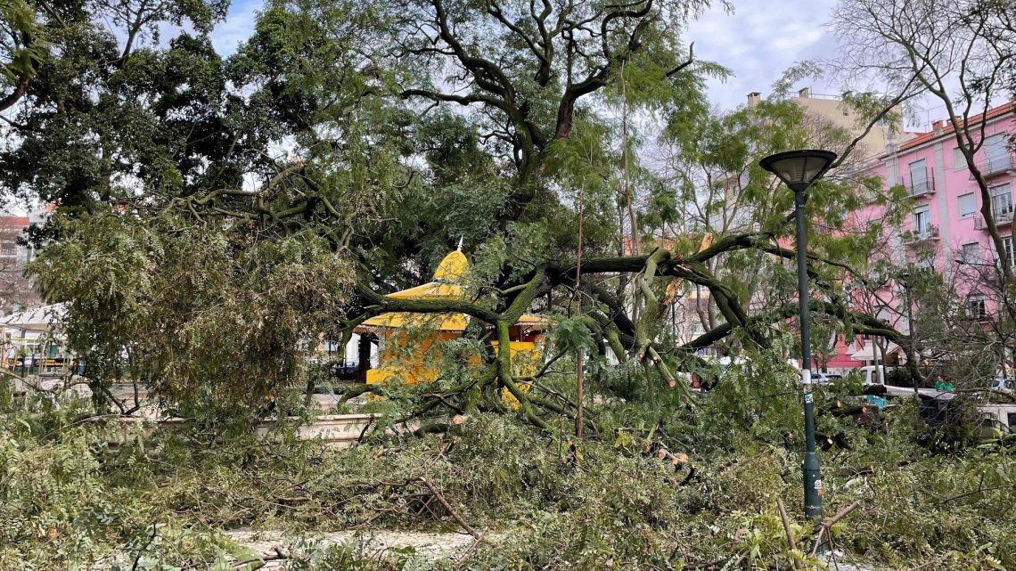 Governo decreta situação de calamidade para as áreas mais afetadas pela tempestade Kristin