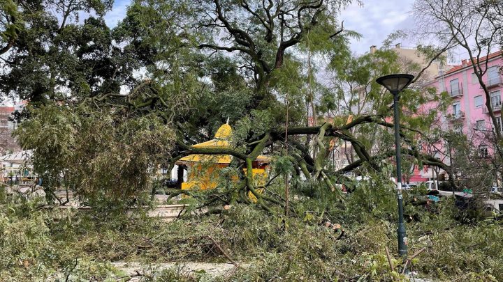 Governo decreta situação de calamidade para as áreas mais afetadas pela tempestade Kristin