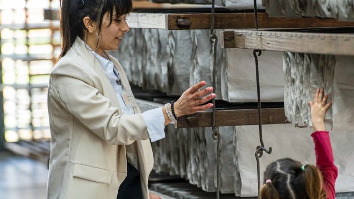 Santa Maria da Feira: Museu do Papel promove encontro sobre reabilitação auditiva