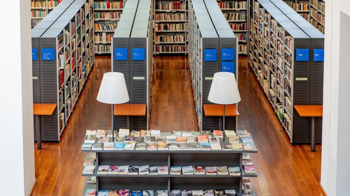 Biblioteca Municipal de Santa Maria da Feira renova liderança nacional em vários indicadores