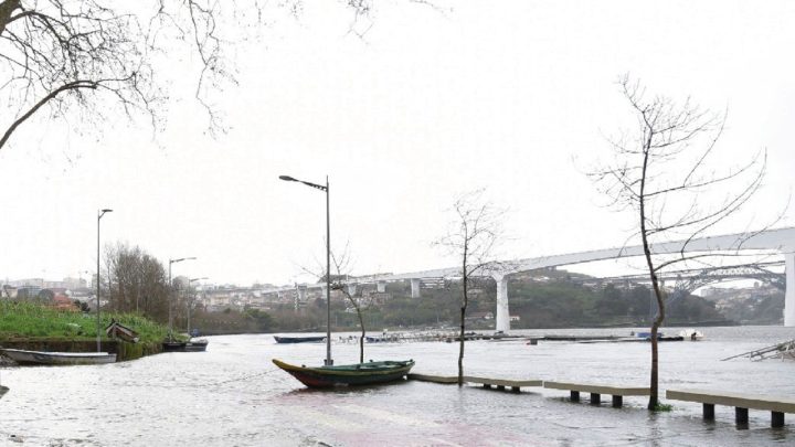 Cheias no Douro: subida do rio coloca Porto e Gaia sob forte vigilância