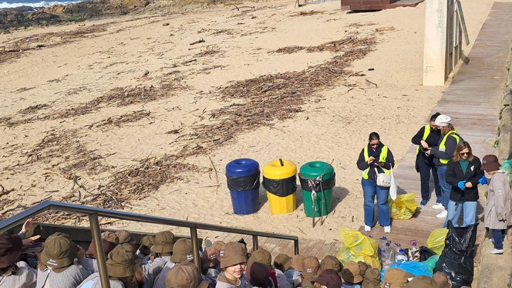 Crianças participam em limpeza de praia em Matosinhos e recolhem 30 quilos de resíduos