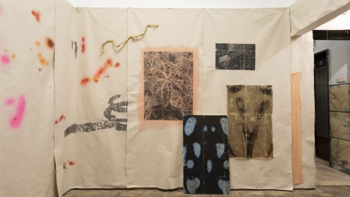 Criatório volta a apoiar a criação artística no Porto com 29 bolsas num total de 495 mil euros