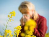 Níveis de pólen sobem a partir de sexta-feira e colocam regiões em alerta