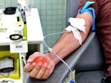 IPO do Porto apela à doação de sangue