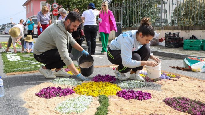 Festival da Flor celebra a Primavera em Paredes de 20 a 29 de março