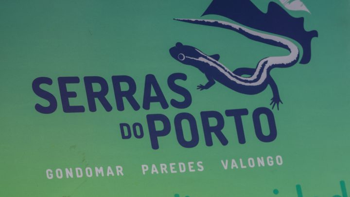 Parque das Serras do Porto celebra 10 anos a proteger 6.000 hectares de natureza na Área Metropolitana