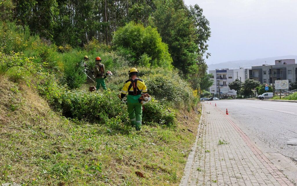 Paredes inicia limpeza de terrenos para prevenir incêndios rurais