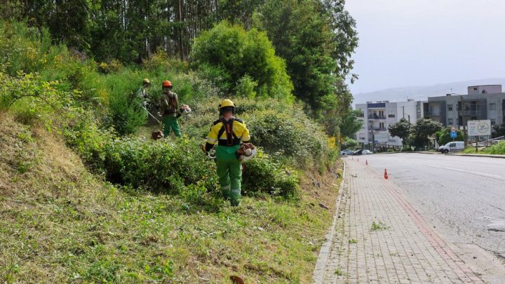 Paredes inicia limpeza de terrenos para prevenir incêndios rurais