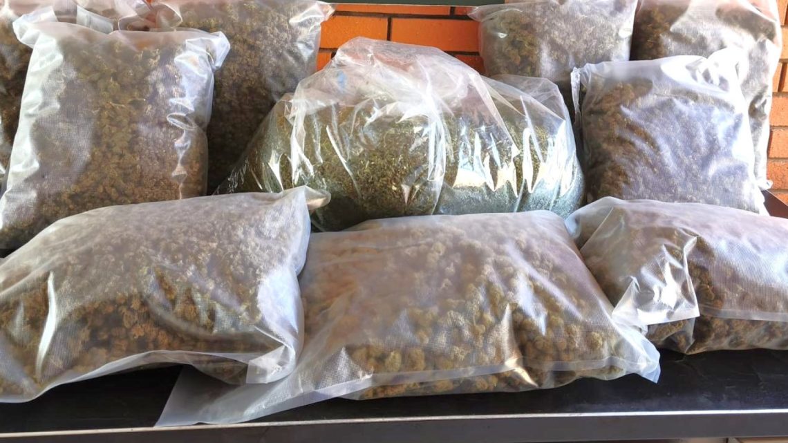 Pacote aberto indevidamente revela 14 quilos de droga em Vila Nova de Gaia