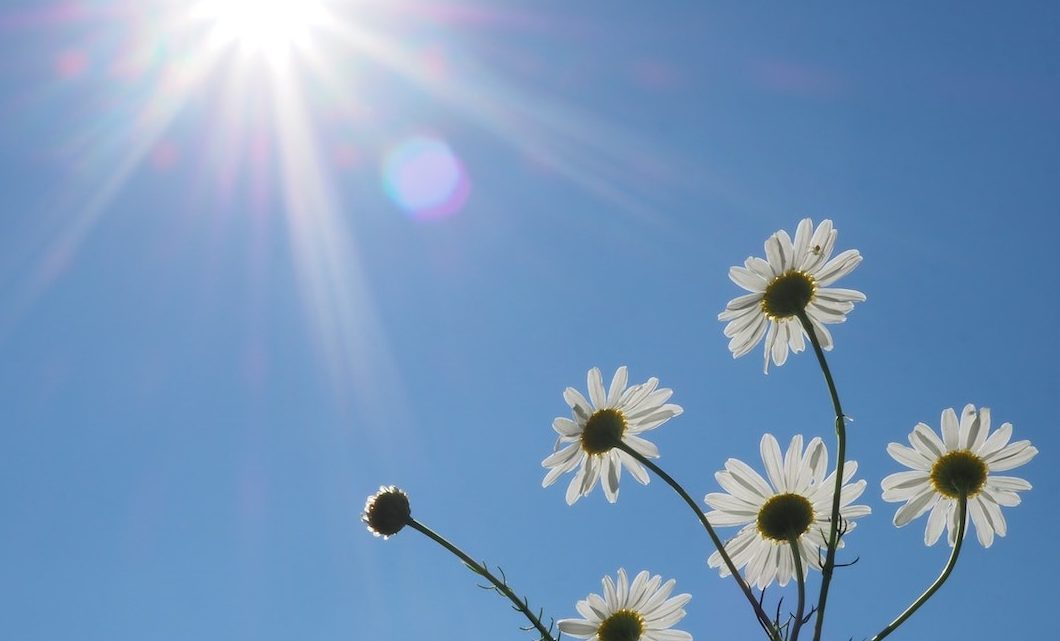 Grande Porto com céu nublado e temperaturas ligeiramente mais altas esta quinta-feira