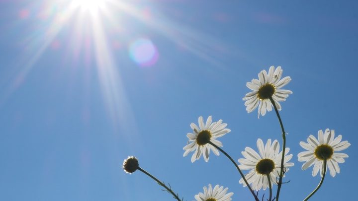 Grande Porto com céu nublado e temperaturas ligeiramente mais altas esta quinta-feira
