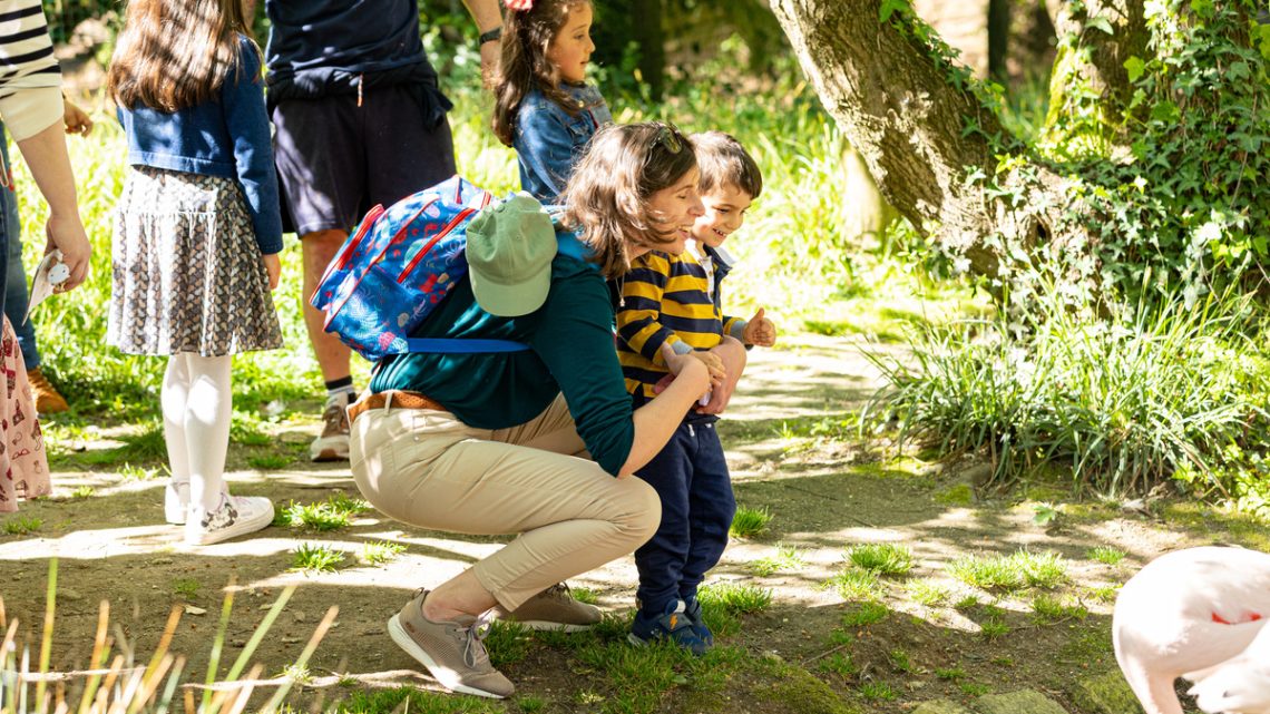Zoo de Lourosa, em Santa Maria da Feira, celebra Dia da Mãe com atividades para toda a família