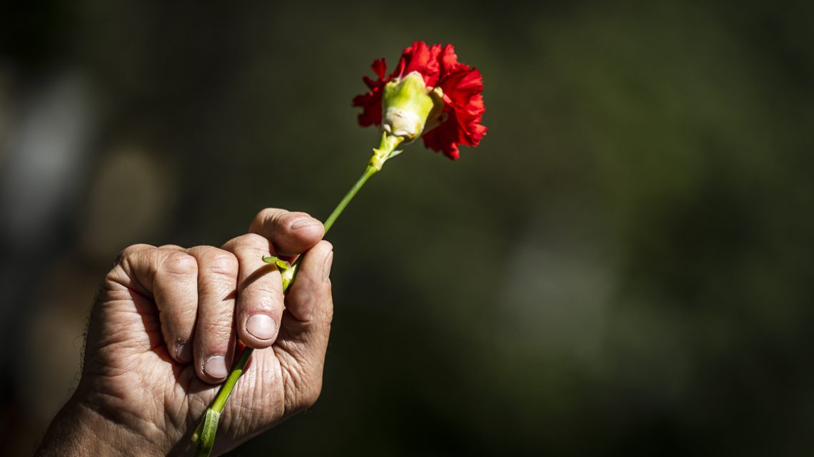 Porto assinala 25 de Abril com dois dias de festa, música e tradição na Baixa