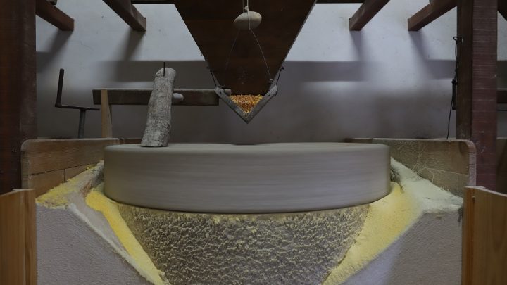 Oliveira de Azeméis quer integrar Rota dos Moinhos de Portugal para valorizar património molinológico