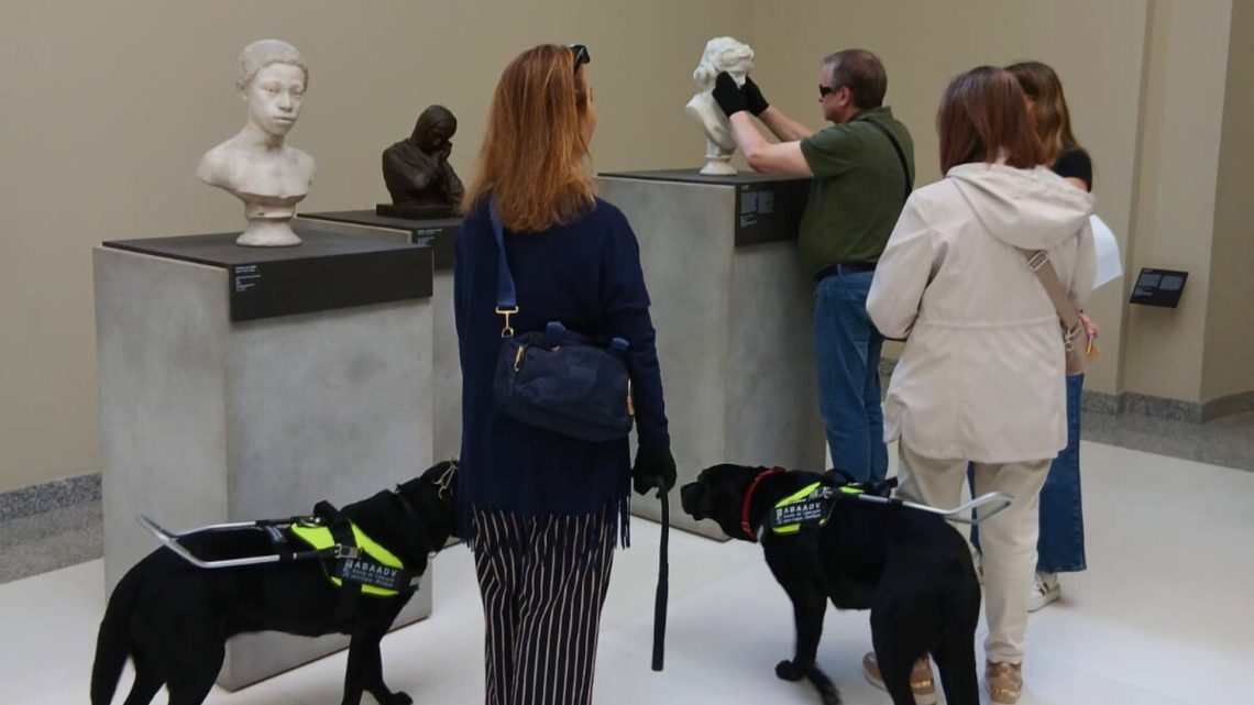 Museu Nacional Soares dos Reis reforça compromisso com a acessibilidade universal