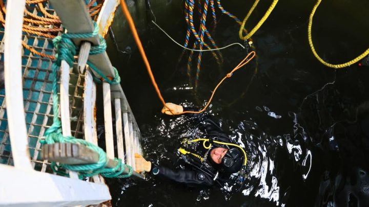 Águas do Douro e Paiva investe 370 mil euros para reforçar a resiliência do abastecimento nas próximas décadas