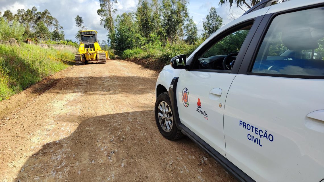 Câmara de Oliveira de Azeméis reforça prevenção de incêndios com intervenções estratégicas na floresta