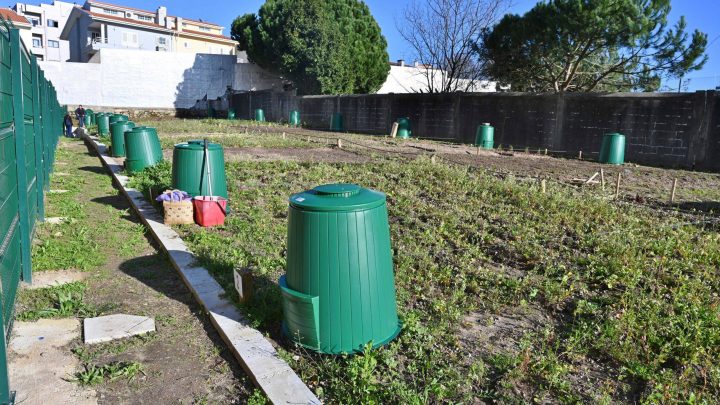 Procura por hortas urbanas dispara e deixa mais de 3 mil pessoas em espera na região do Porto
