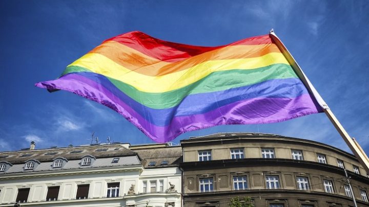Porto assinala luta contra discriminação com hastear da bandeira LGBTQIA+