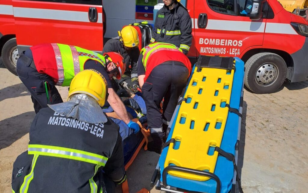Homem e cão morrem atropelados em passadeira em Leça da Palmeira