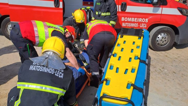 Homem e cão morrem atropelados em passadeira em Leça da Palmeira