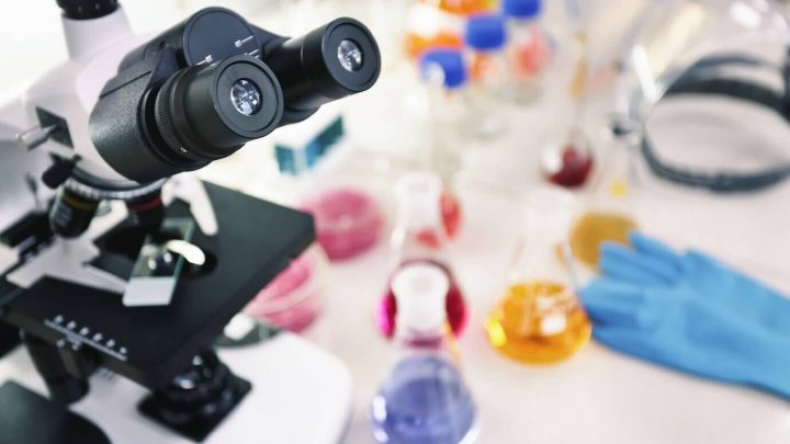 Maia celebra Dia do Cientista com atividades abertas à comunidade no LABS MAIA