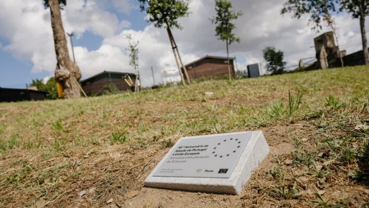 Porto assinala 40 anos na União Europeia com reforço do património verde e aposta na sustentabilidade