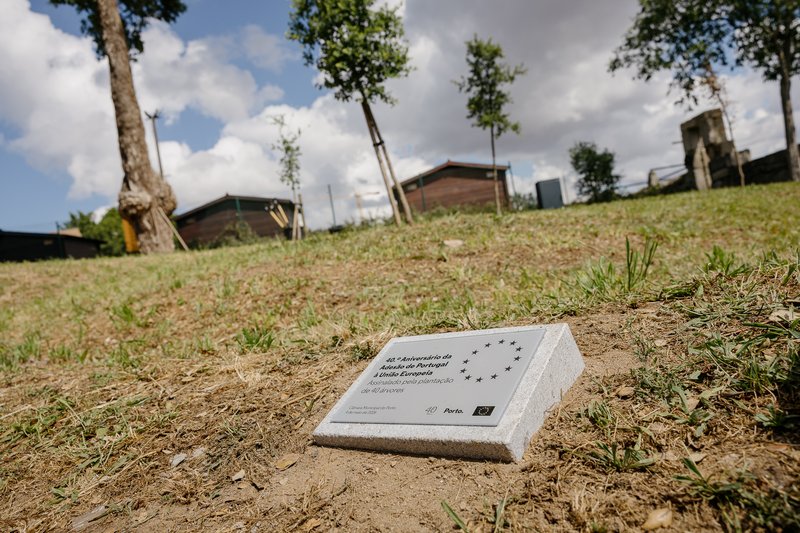 Porto assinala 40 anos na União Europeia com reforço do património verde e aposta na sustentabilidade