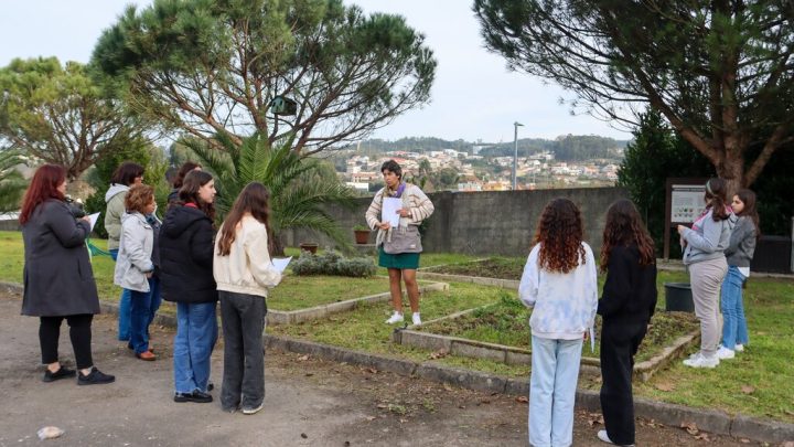 Paredes promove mais de 40 atividades dedicadas ao ambiente e ação climática