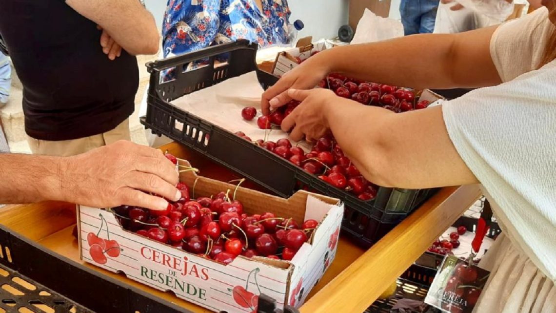 Festa da Cereja de Resende regressa à Maia com gastronomia, música e animação para toda a família