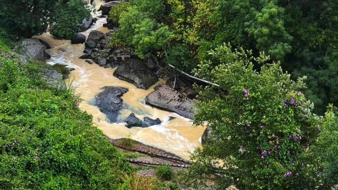 Vereador Municipal de Paredes denuncia ao Ministério Público descargas poluentes no Rio Ferreira e exige investigação imediata