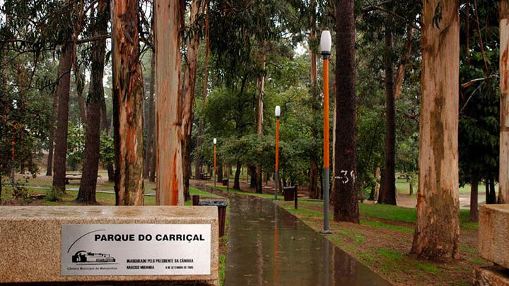 Fogo deflagra no Parque do Carriçal, na Senhora da Hora