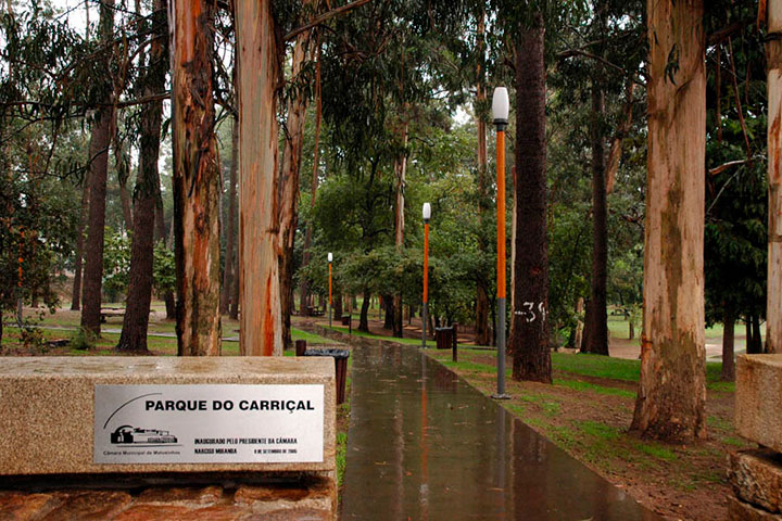 Fogo deflagra no Parque do Carriçal, na Senhora da Hora