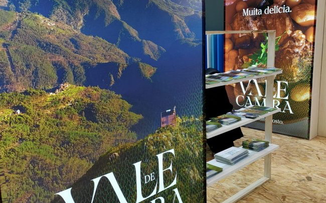 AnimAgosto regressa para animar as noites de verão em Vale de Cambra