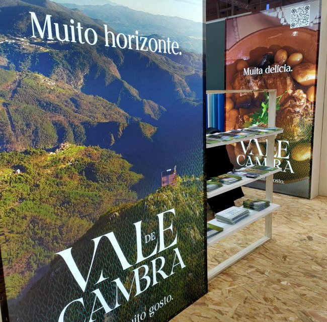 AnimAgosto regressa para animar as noites de verão em Vale de Cambra