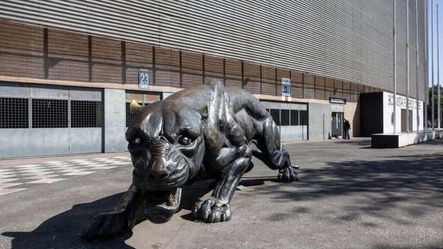 Câmara do Porto aprova por unanimidade plano para ajudar a salvar o Boavista