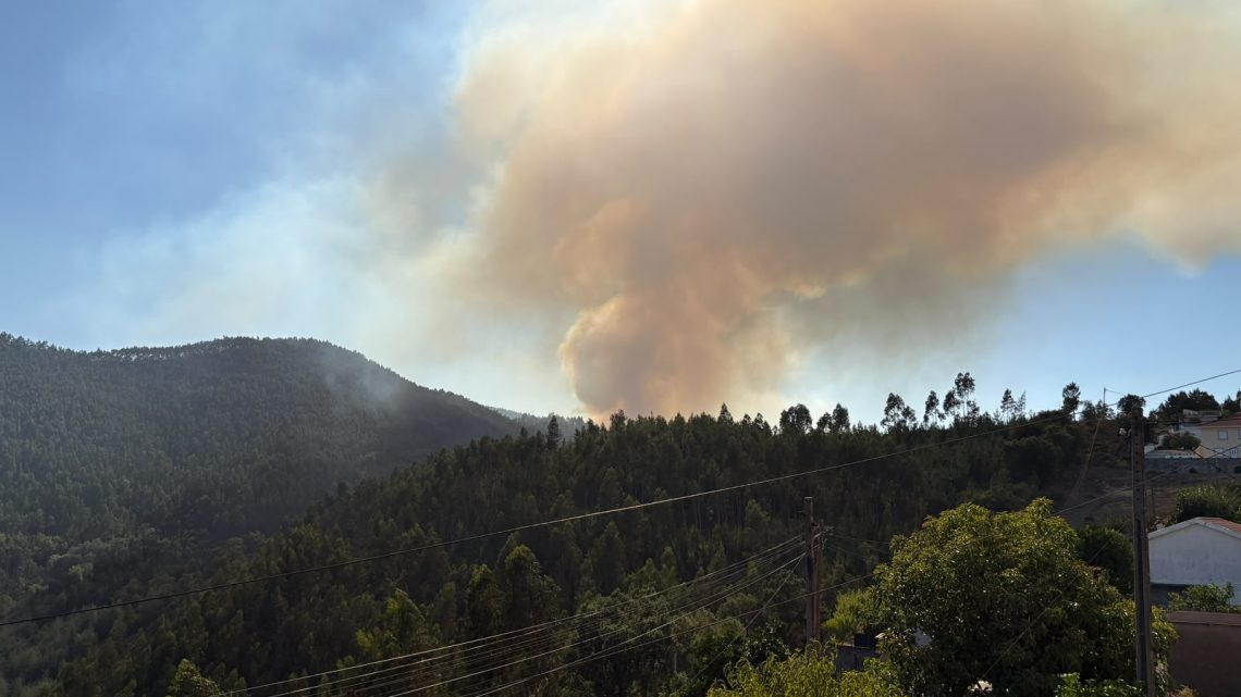 Incêndio em Gondomar volta a reacender e mobiliza quase uma centena de operacionais