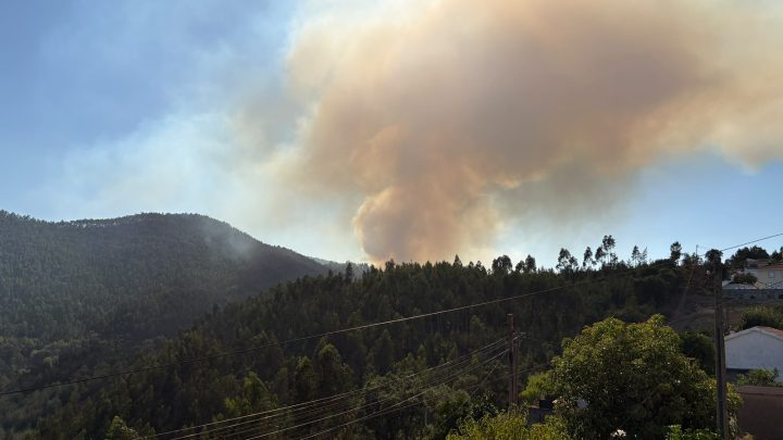 Incêndio em Gondomar volta a reacender e mobiliza quase uma centena de operacionais