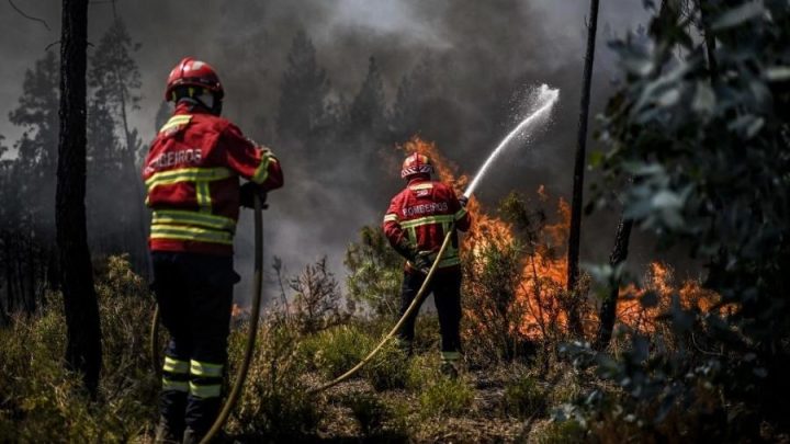 Cerca de 50 municípios em alerta vermelho devido ao risco máximo de incêndio rural