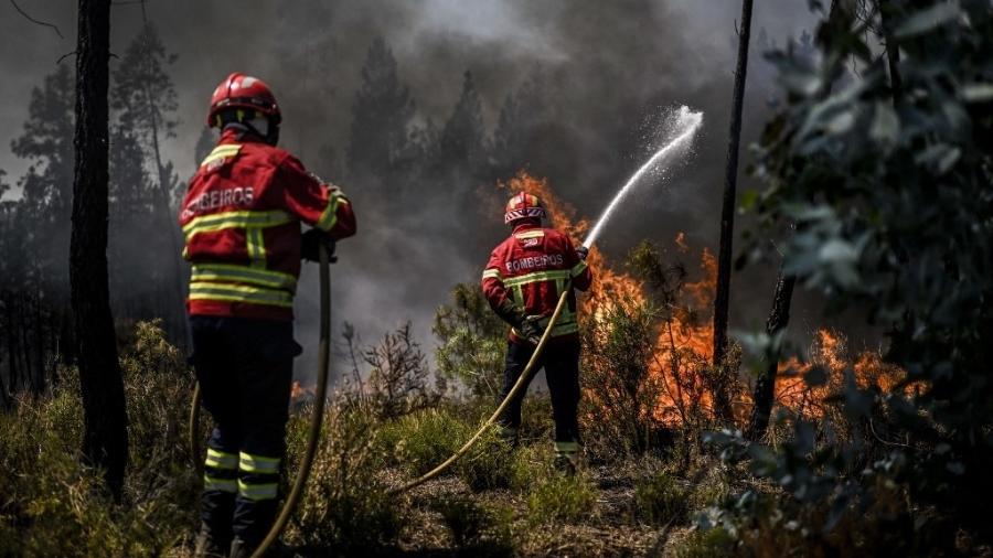 Cerca de 50 municípios em alerta vermelho devido ao risco máximo de incêndio rural