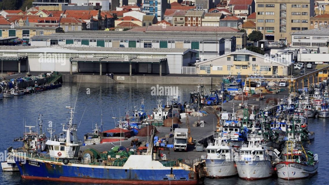 PSD de Matosinhos critica gestão da Docapesca e cobra respostas ao Governo