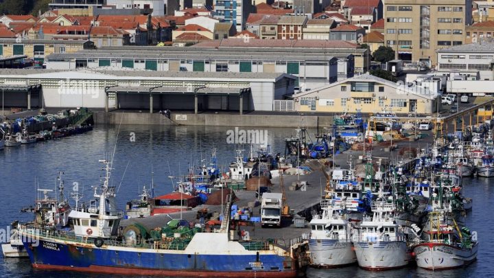 PSD de Matosinhos critica gestão da Docapesca e cobra respostas ao Governo