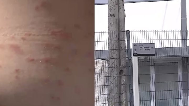 Maia executa decisão judicial e avança com desinfestação da habitação apontada como foco da infestação de pulgas
