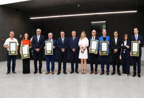 Paredes homenageia oito personalidades, instituições e uma equipa com a Medalha de Ouro do Município