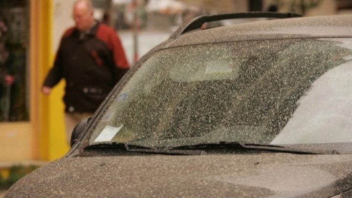 Poeiras do Norte de África chegam a Portugal e podem deixar “chuva de lama” no sábado