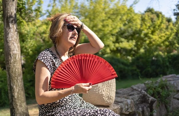 Mais 48 horas de calor: Norte em aviso laranja e temperaturas podem chegar aos 42 graus