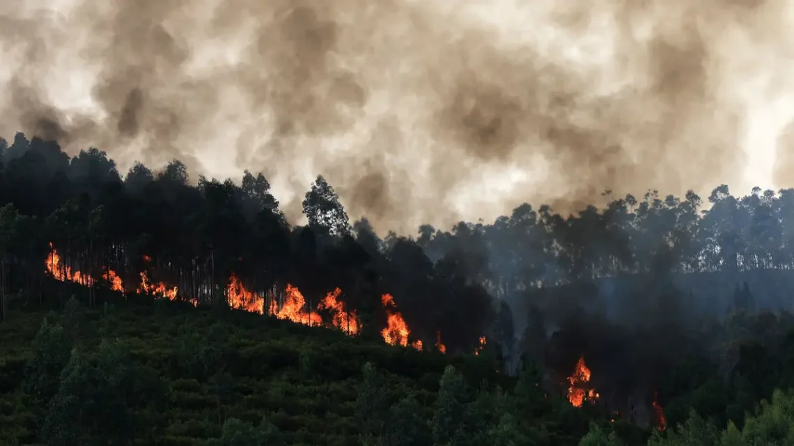 Incêndio em Arouca com quatro frentes ativas leva a medidas de segurança em aldeias